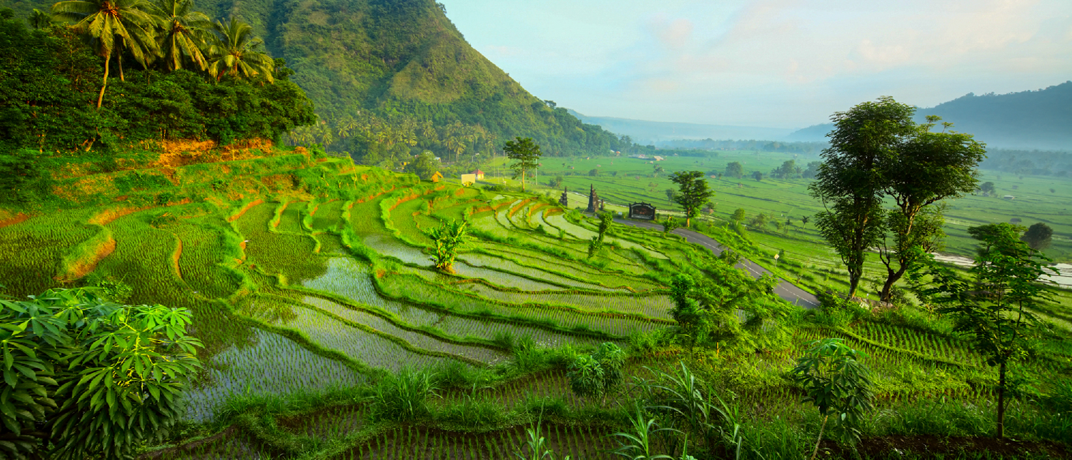 Vibrant green rice terraces with water reflecting the sky, surrounded by lush hills in Ubud.