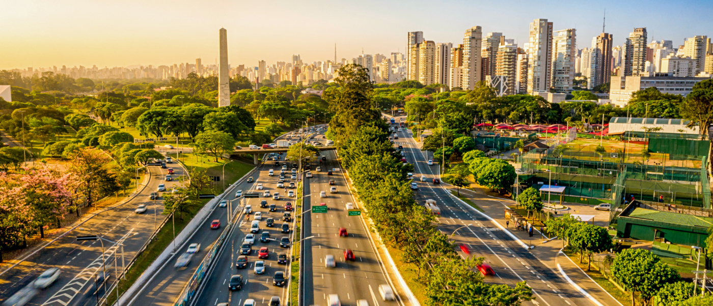 Downtown Sao Paulo stretching to the horizon