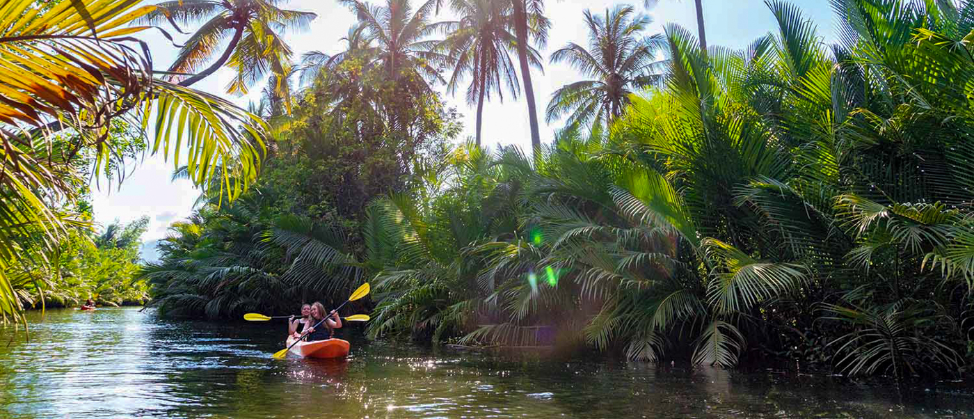 Two people kayak on a serene river surrounded by lush tropical palm trees in Kampot.