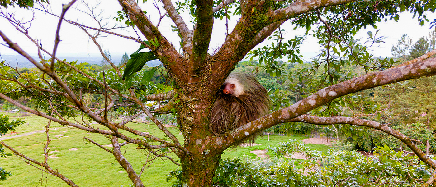 Manuel Antonio National Park