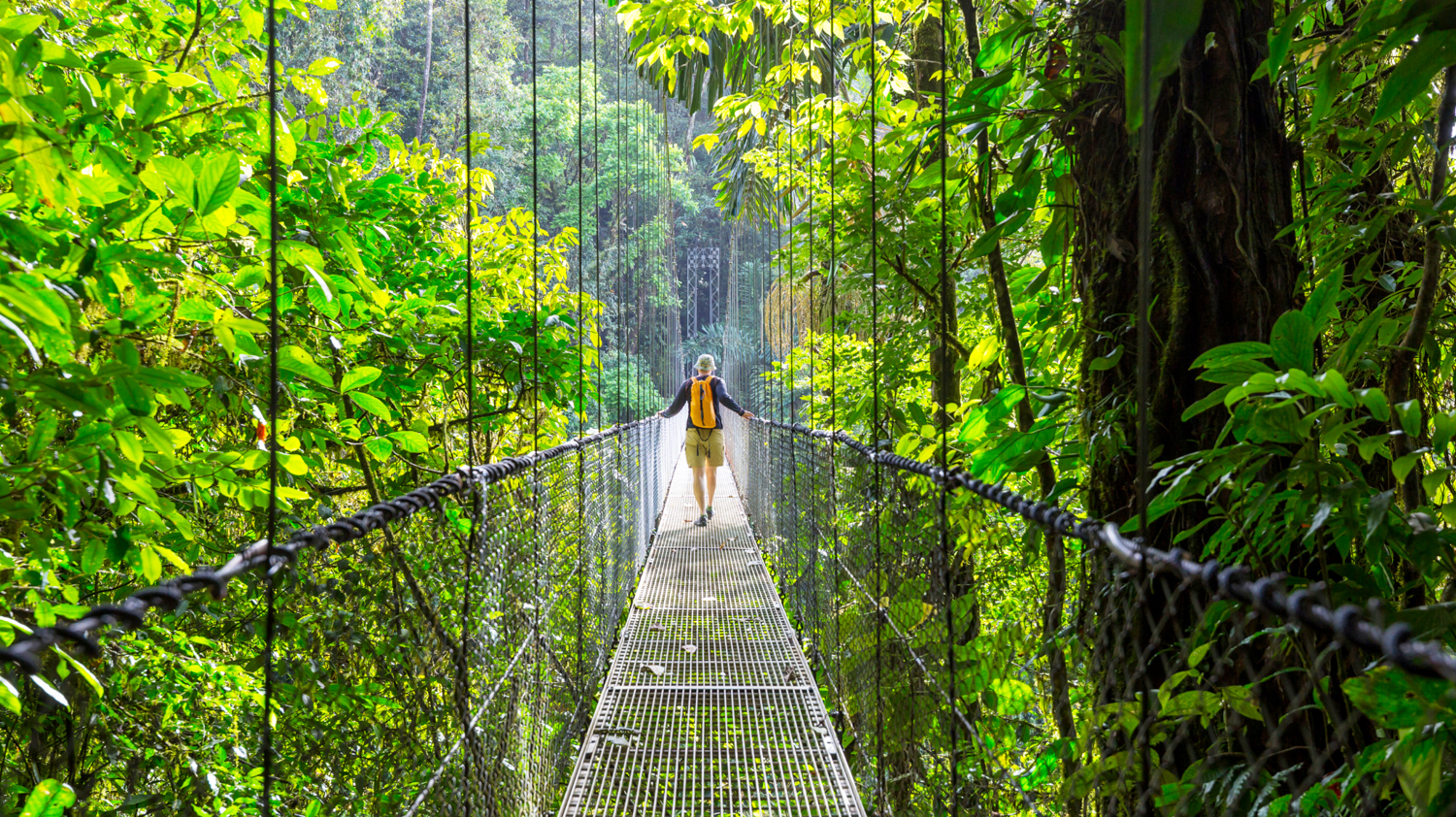 A person walks across a long suspension bridge high above a vibrant Costa Rican rainforest.