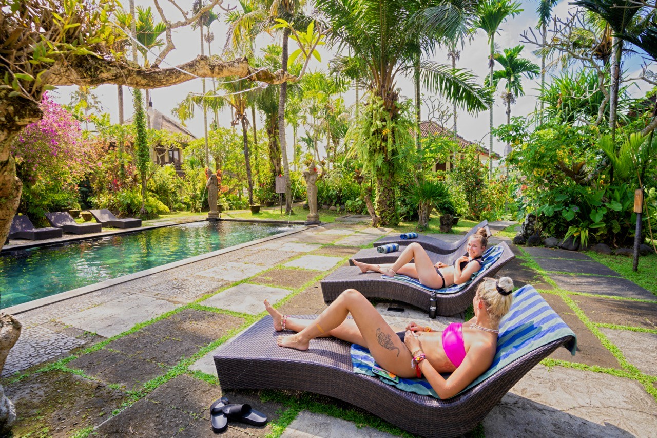 Two travellers relax on sun loungers beside the pool at the group's cottages in Ubud, surrounded by palm trees and tropical gardens.