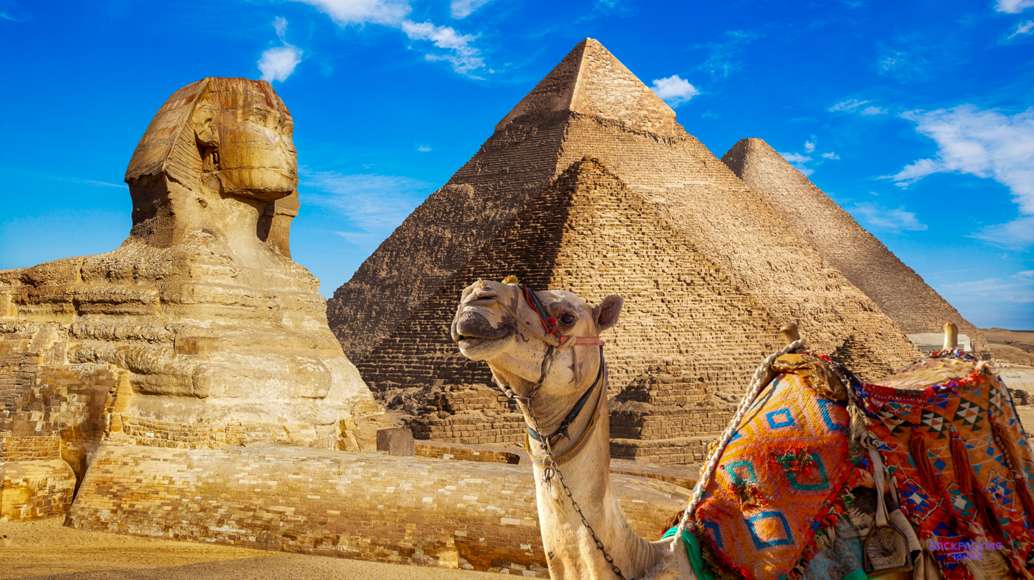 A camel with a colourful saddle stands before the majestic Sphinx and ancient pyramids in Giza, Egypt.