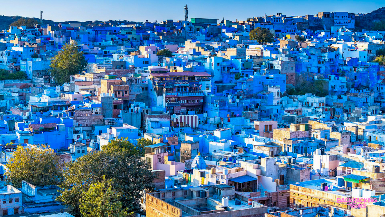 The enchanting Blue City of Jodhpur, India, with its distinctive blue-painted houses under a bright sky.