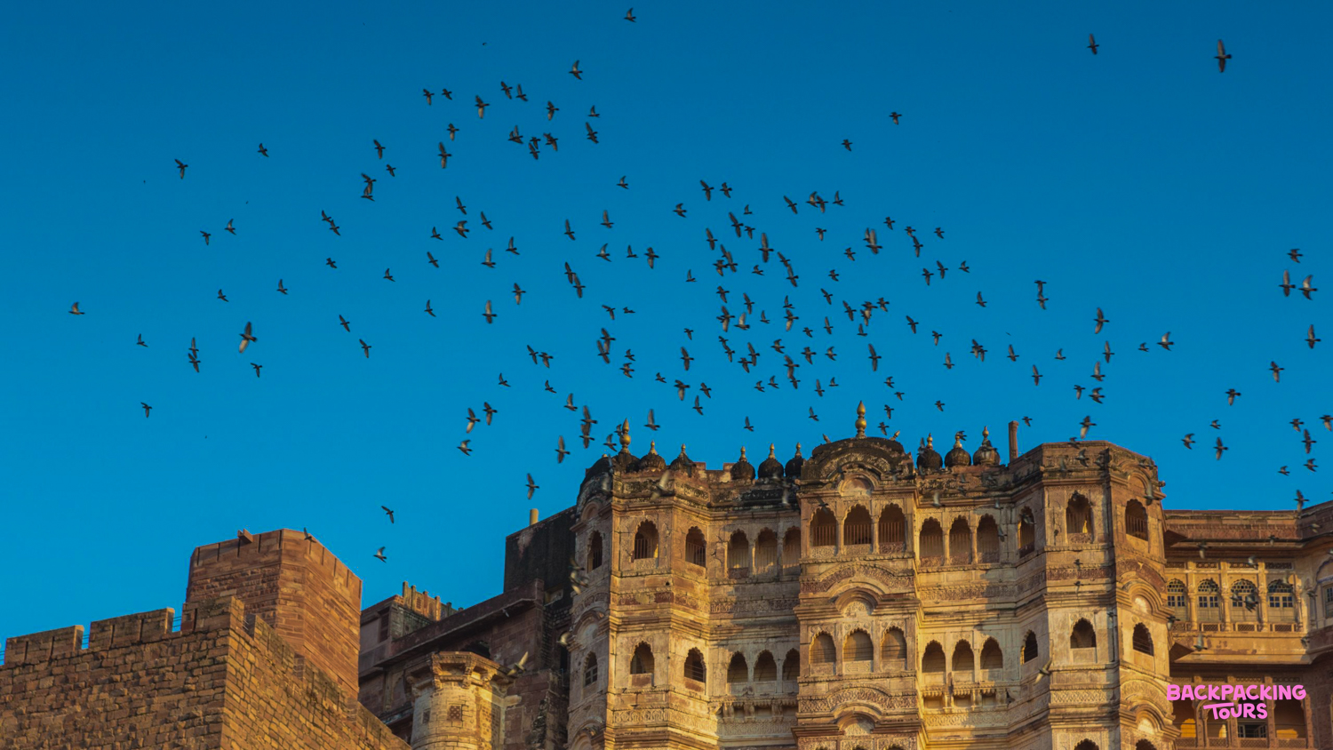 A flock of birds flies over the ancient Mehrangarh Fort in Jodhpur under a clear blue sky.