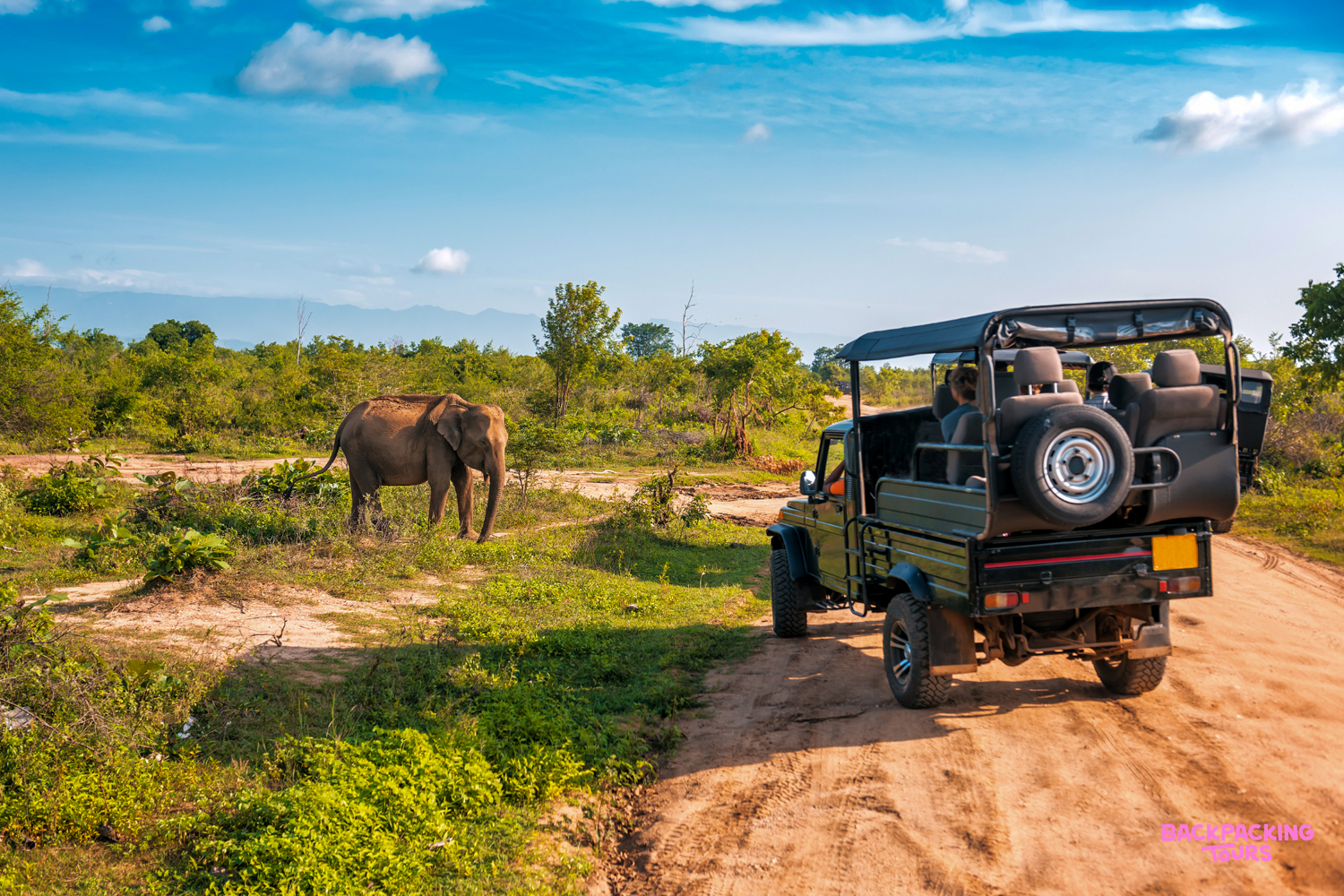 A safari jeep on a dirt track observing a wild elephant in Chitwan National Park.