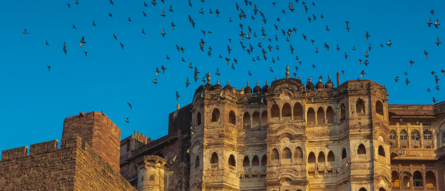Birds soar above the ancient stone walls of Mehrangarh Fort in Jodhpur against a vibrant blue sky.