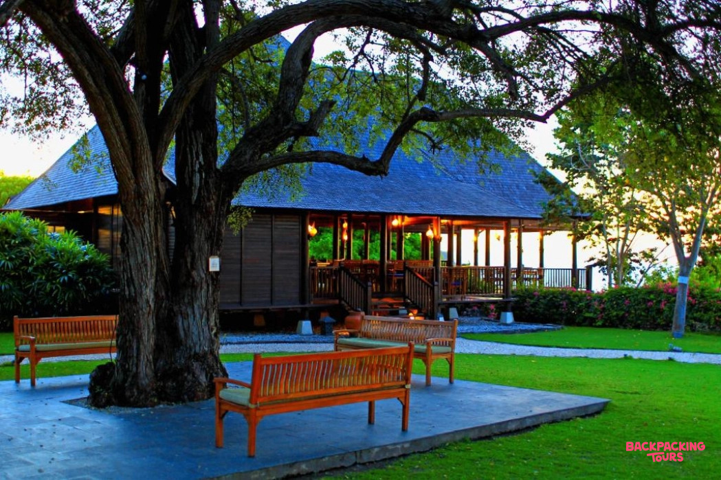 A peaceful resort building with a blue roof and wooden benches under a large tree in Sumbawa.