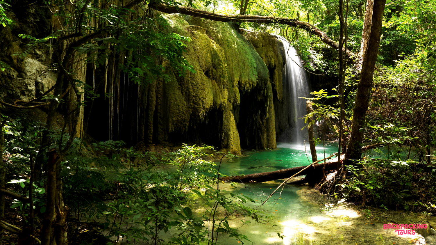 A beautiful waterfall cascades into a clear turquoise pool surrounded by lush green jungle on Moyo Island.