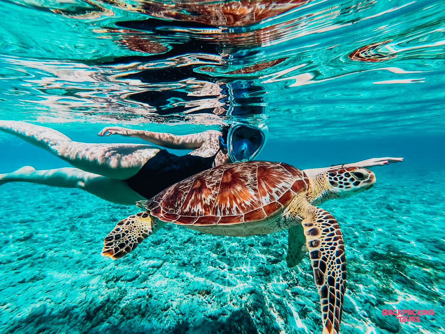 A person snorkels alongside a beautiful sea turtle in the clear turquoise waters of Gili Trawangan.