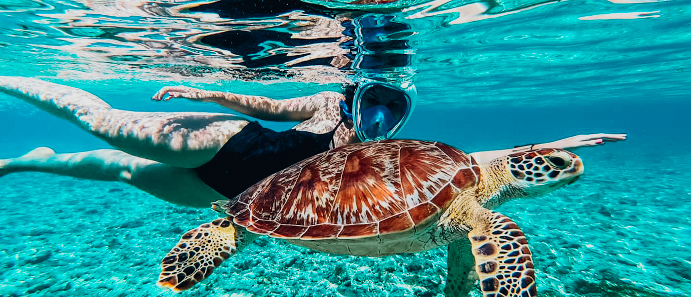 A snorkeler in a black swimsuit swims alongside a large sea turtle in the clear waters of Gili Trawangan.