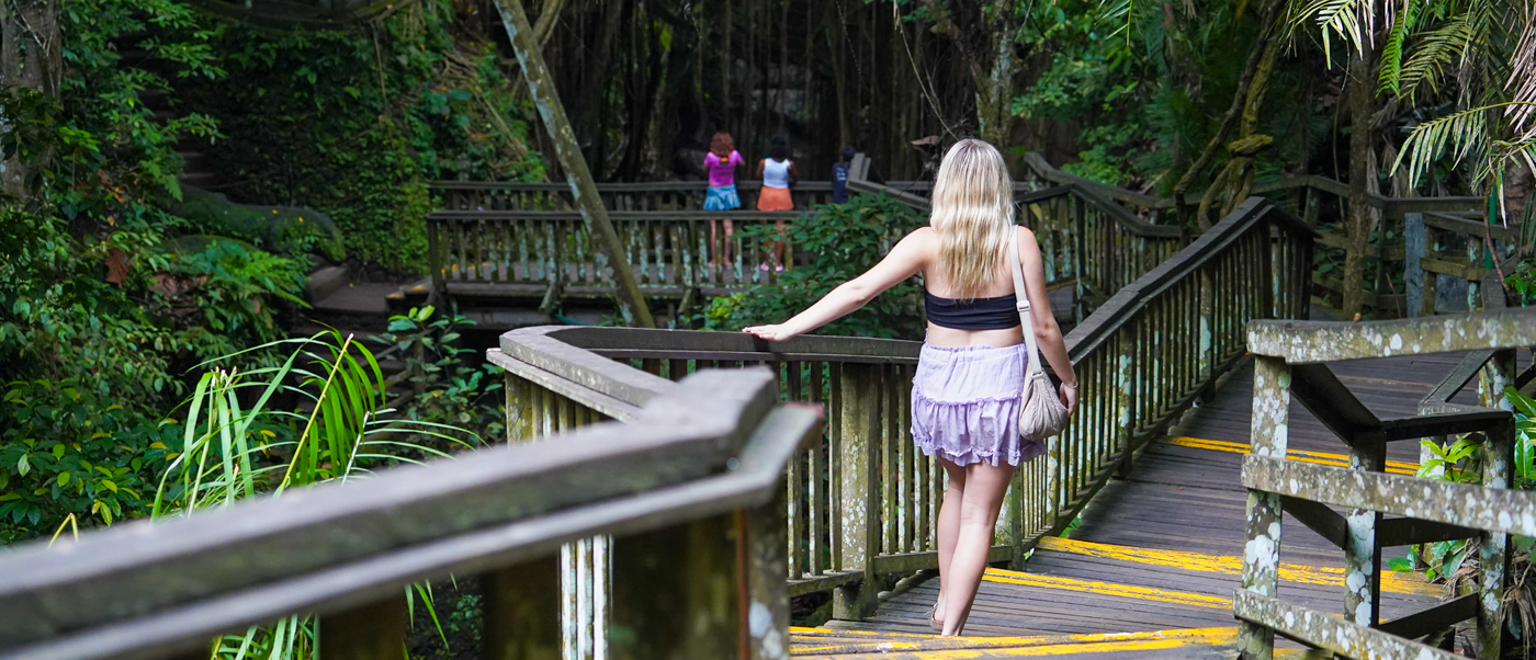 A blonde woman walks on a wooden boardwalk through the lush Sacred Monkey Forest in Ubud.