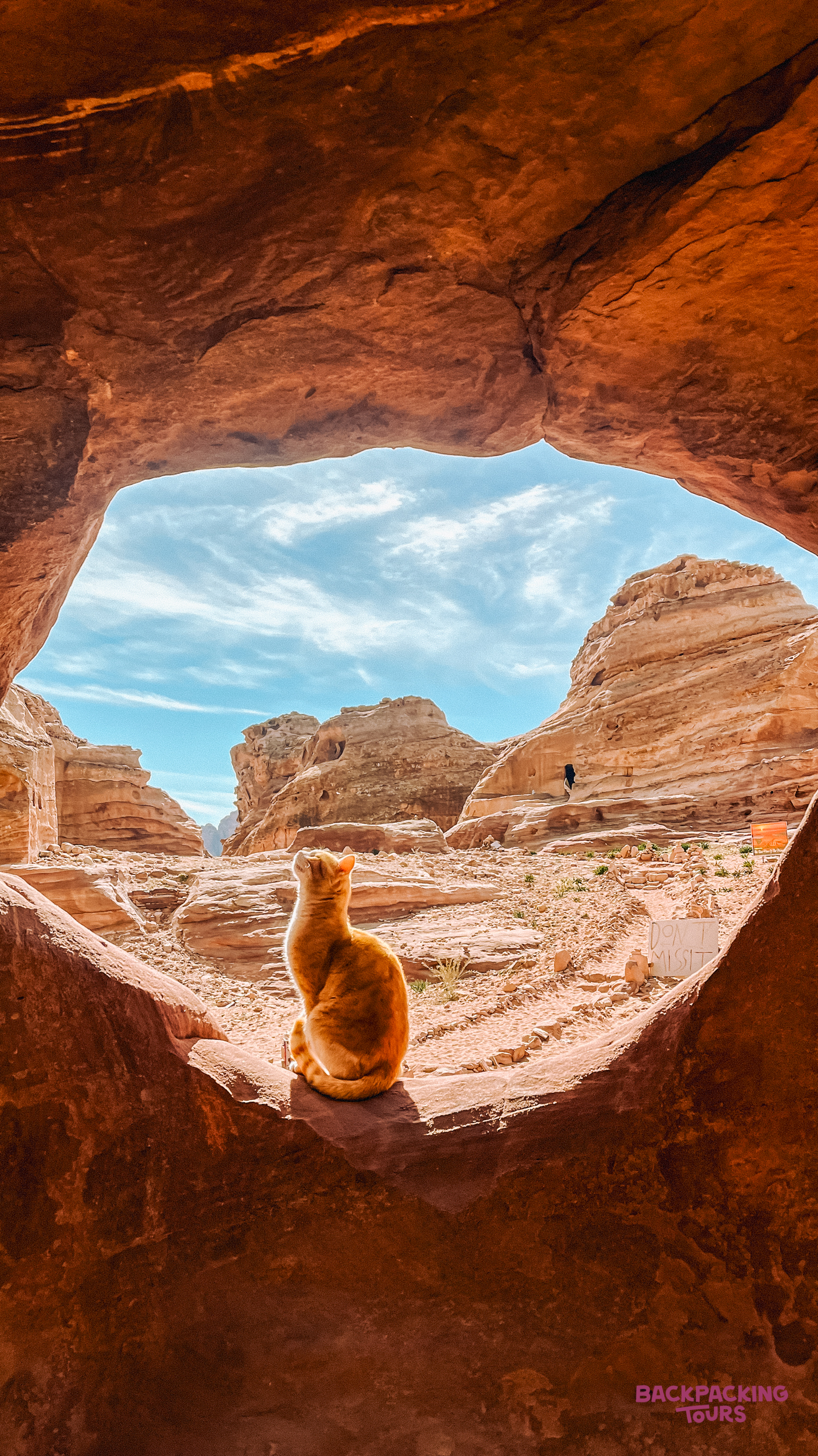 A ginger cat sits on a rock, looking out at the majestic sandstone formations of Petra.