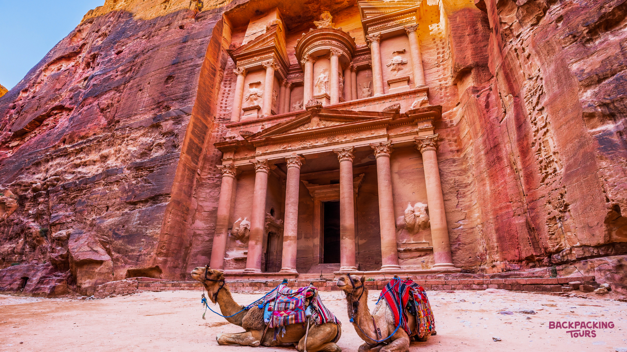 Two decorated camels rest in front of the iconic Petra Treasury, carved into the ancient sandstone cliff.