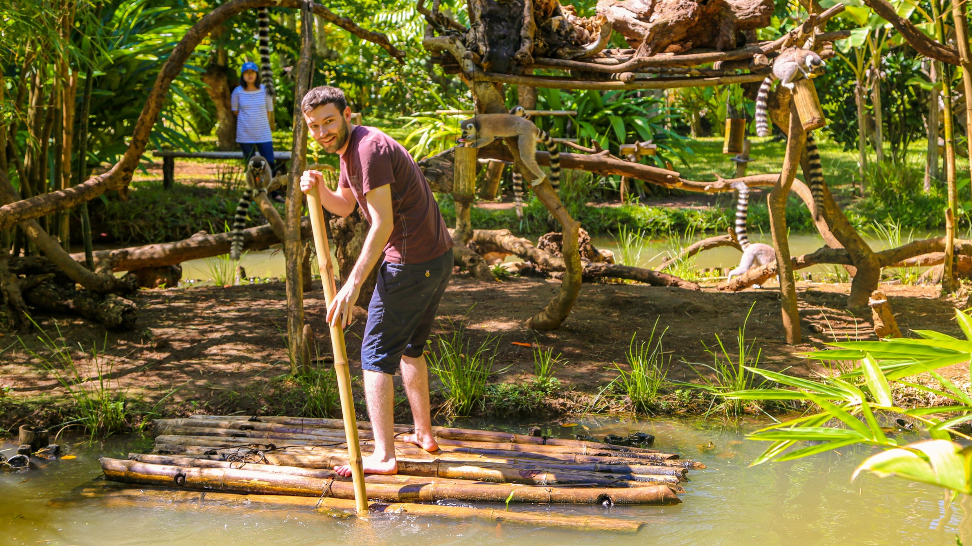 A man poles a wooden raft across a pond, with lemurs on a large structure in Madagascar.