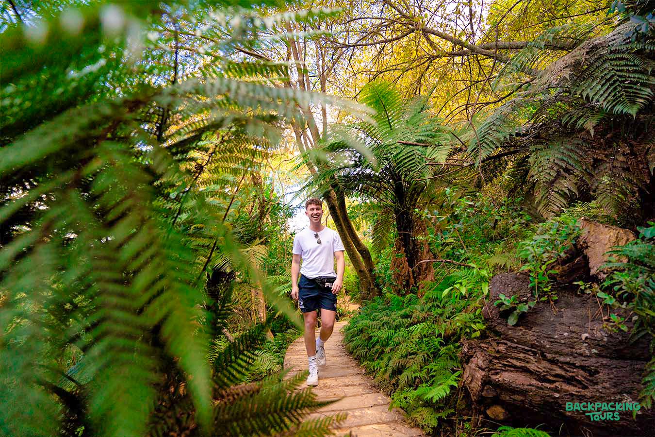 A happy backpacker explores the magical, fern-filled forest paths of Hobbiton in New Zealand.