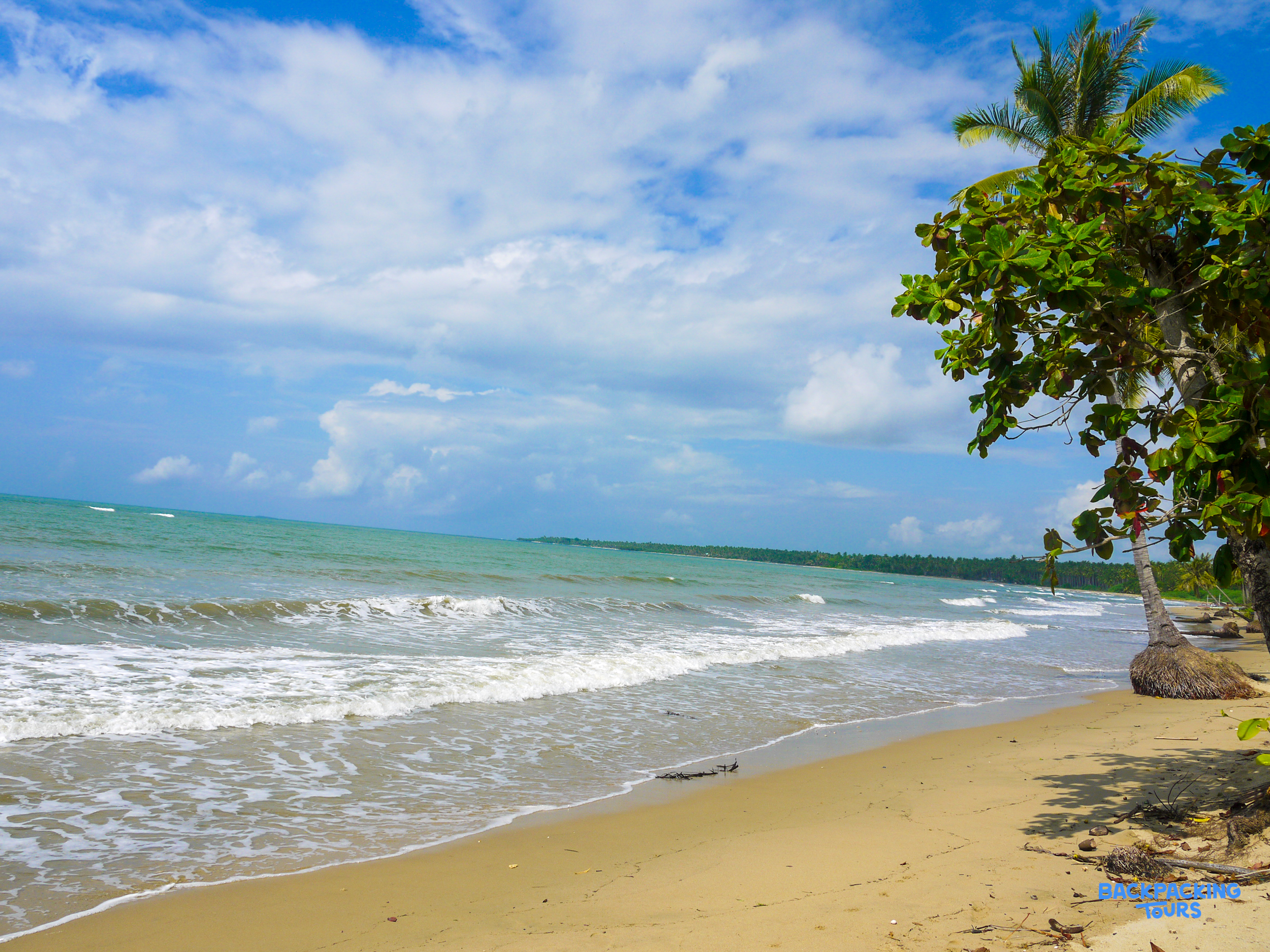 A peaceful tropical beach with gentle waves, sandy shore, and lush green trees under a blue sky.
