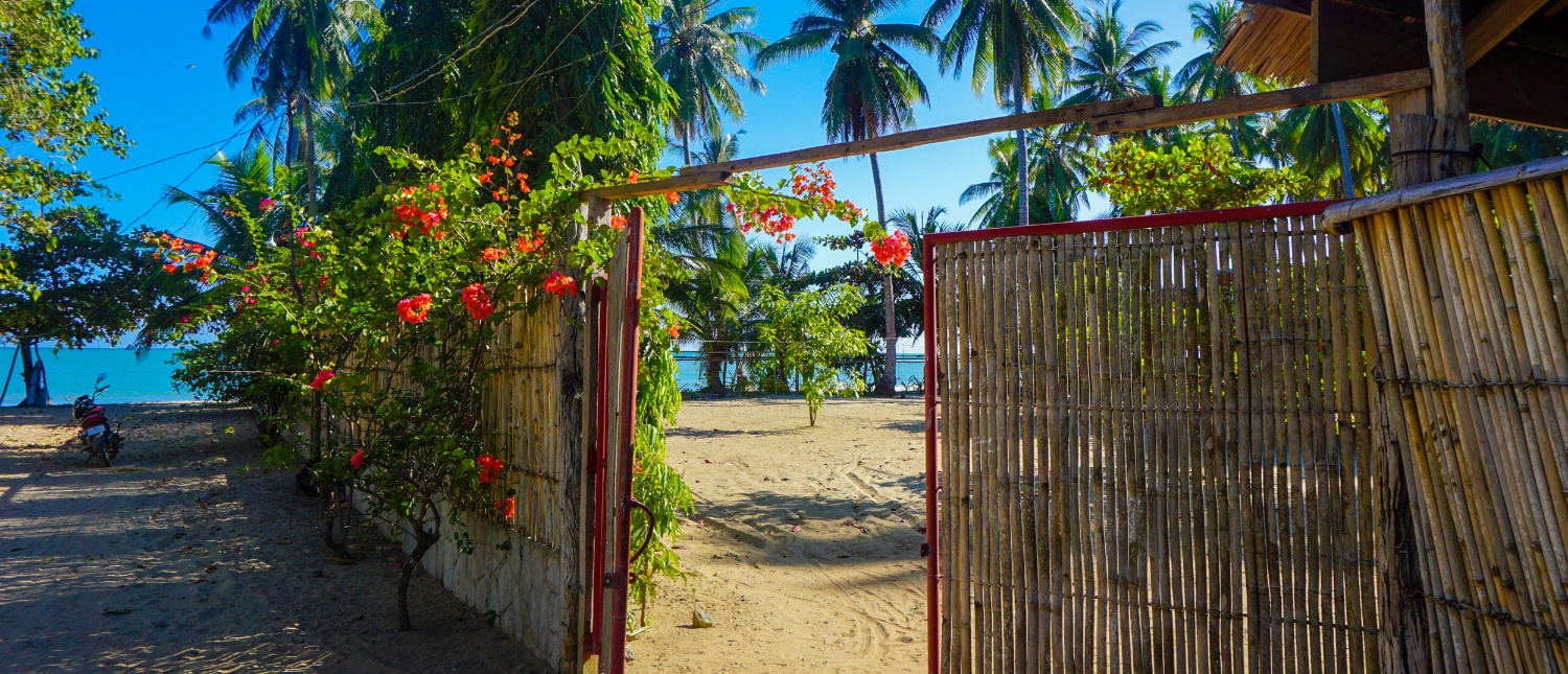 A welcoming open bamboo gate reveals a sandy path leading to a tropical beach in the Philippines.