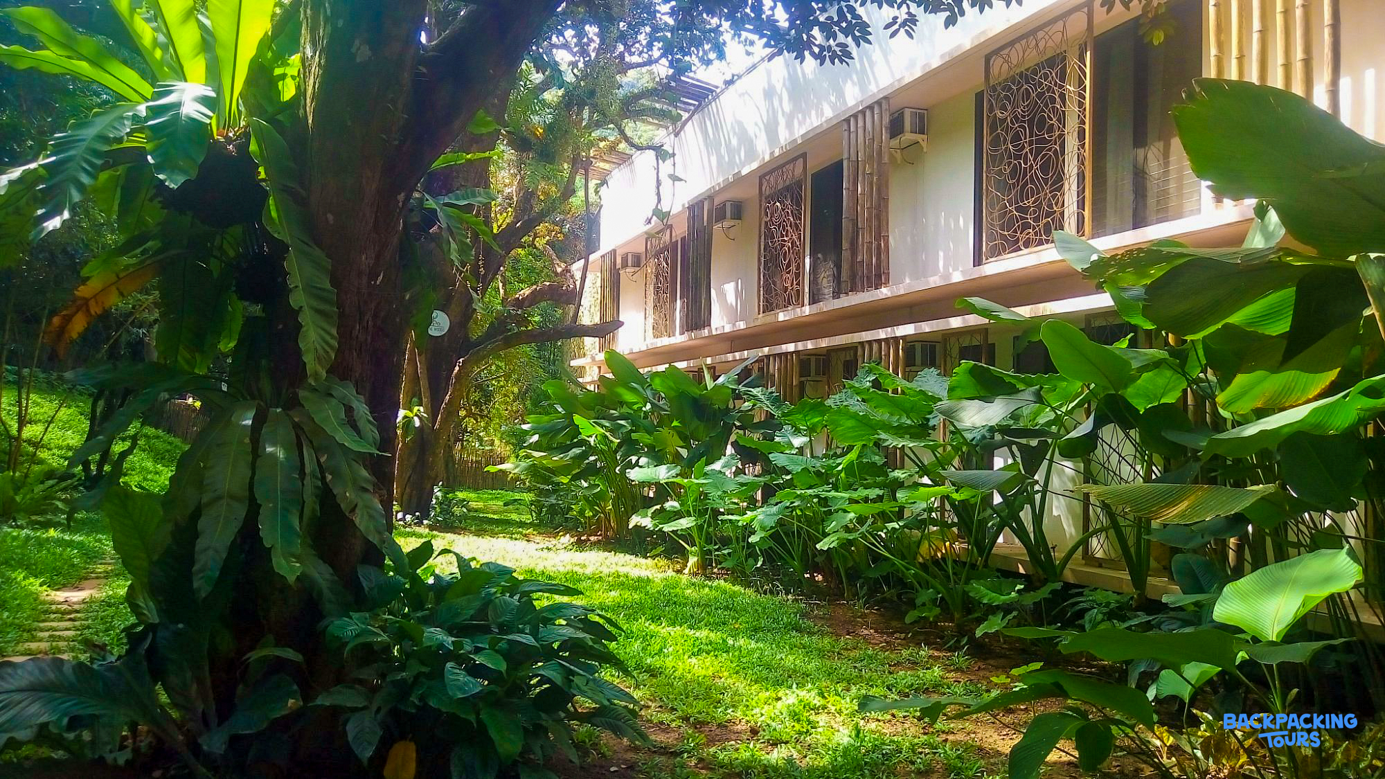A beautiful modern hostel building nestled amidst vibrant tropical greenery and trees in El Nido.