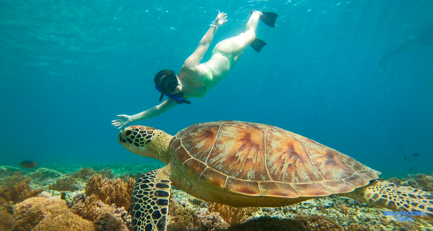 A snorkeler reaches out to a majestic sea turtle swimming over a coral reef in El Nido.