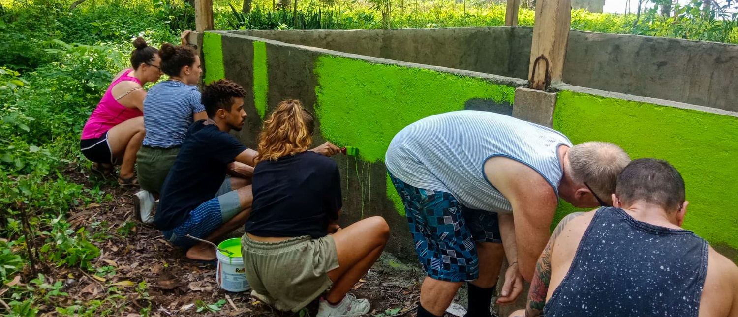 Volunteers painting a long concrete wall bright green, working together in a green outdoor setting.