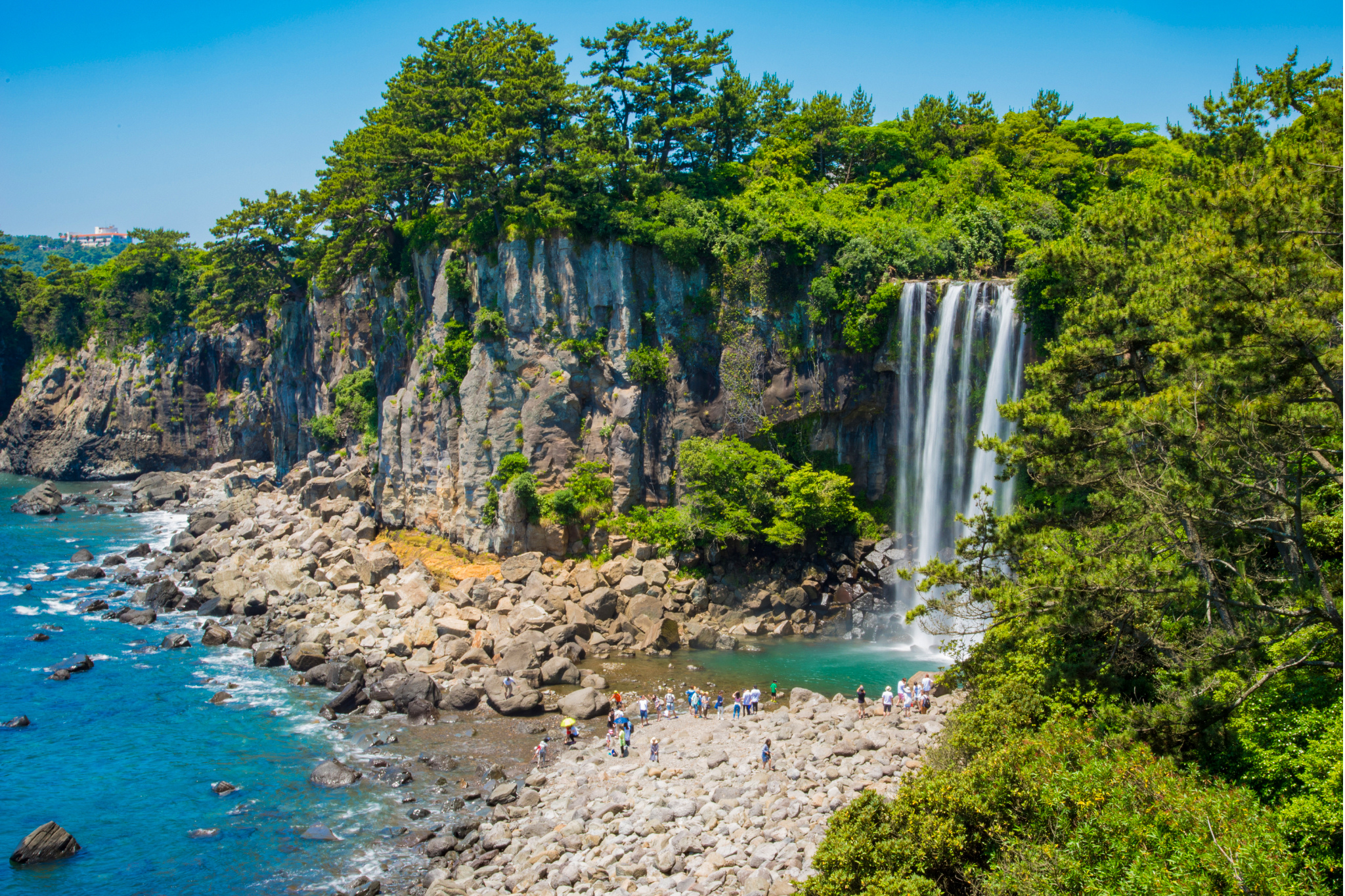 Jeongbang Waterfall cascades from a lush cliff onto a rocky shore with tourists enjoying the clear blue water