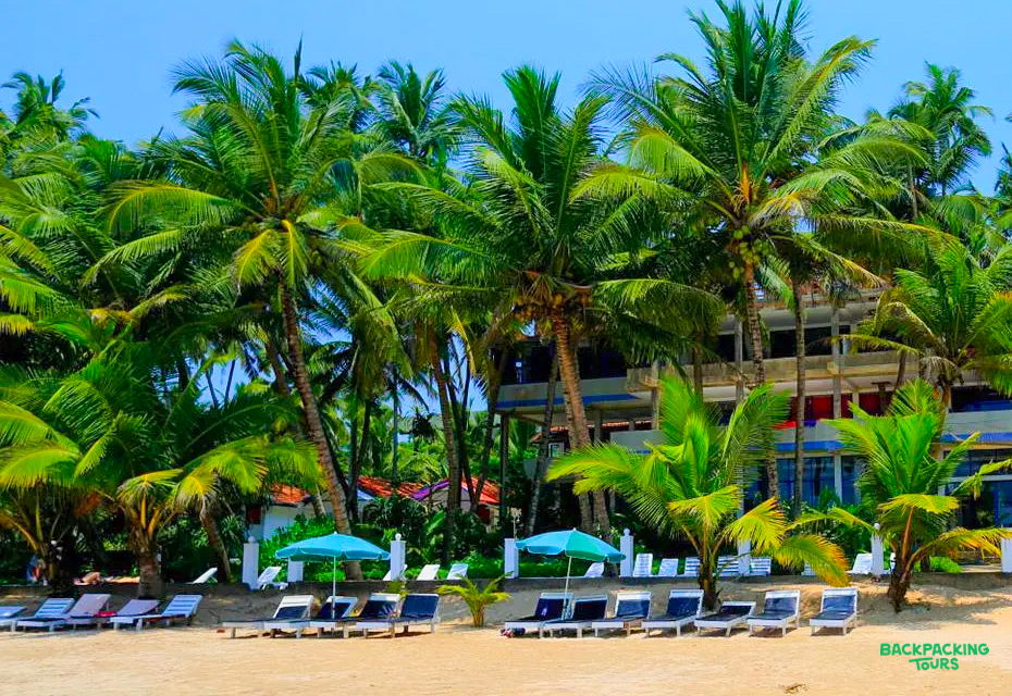 A tropical beach with rows of sun loungers, blue parasols, and lush palm trees in Mirissa, Sri Lanka.