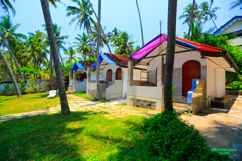 Charming bungalows with colorful roofs nestled among lush palm trees on a sunny day in Mirissa.