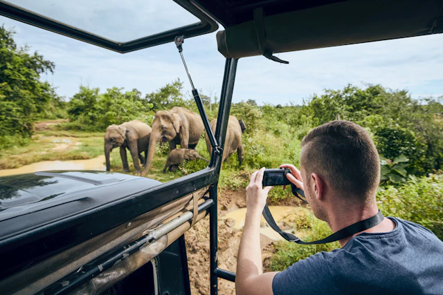 Beach & Safari: Sri Lanka