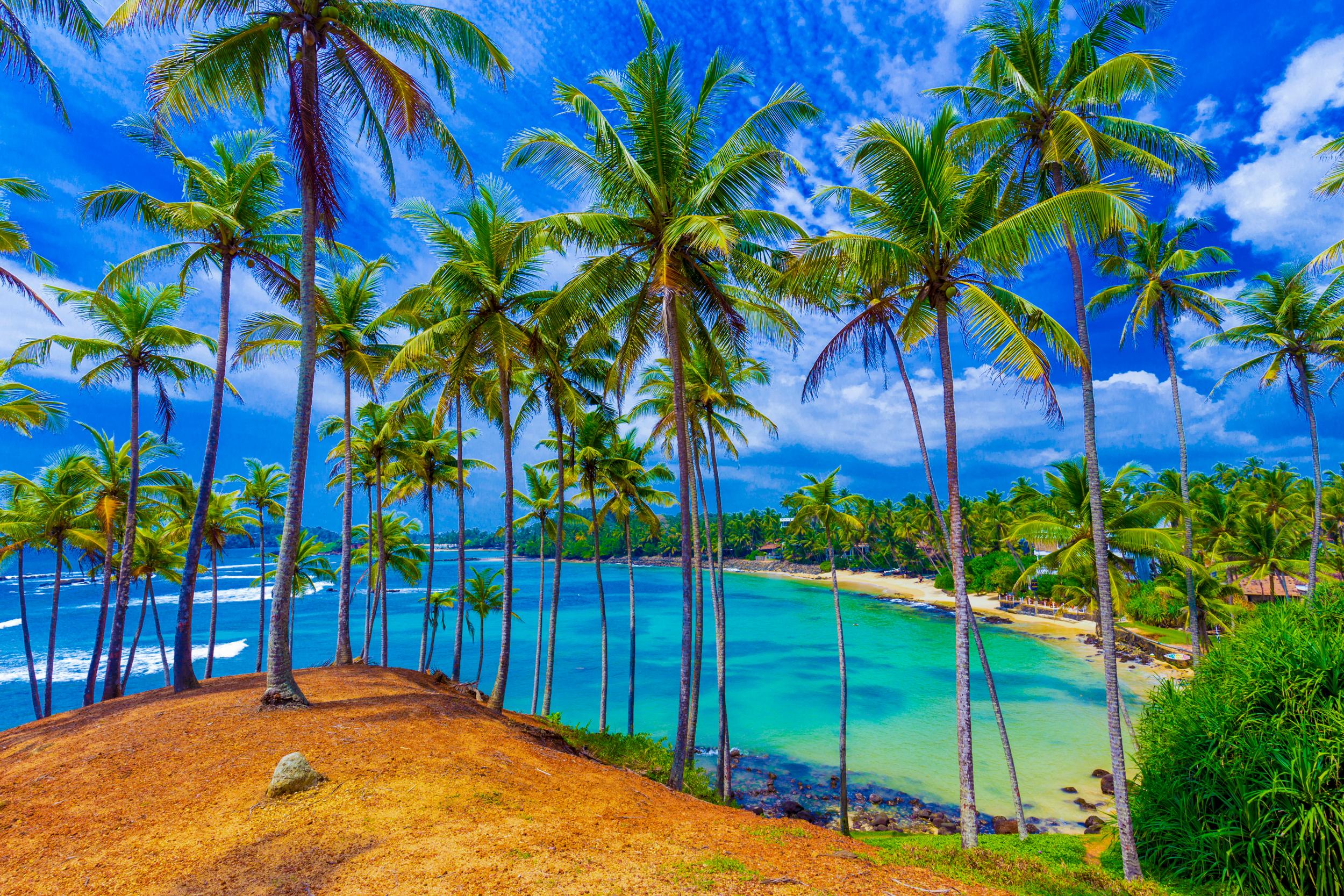 Vibrant Sri Lankan beach scene with tall palm trees framing a calm turquoise bay.