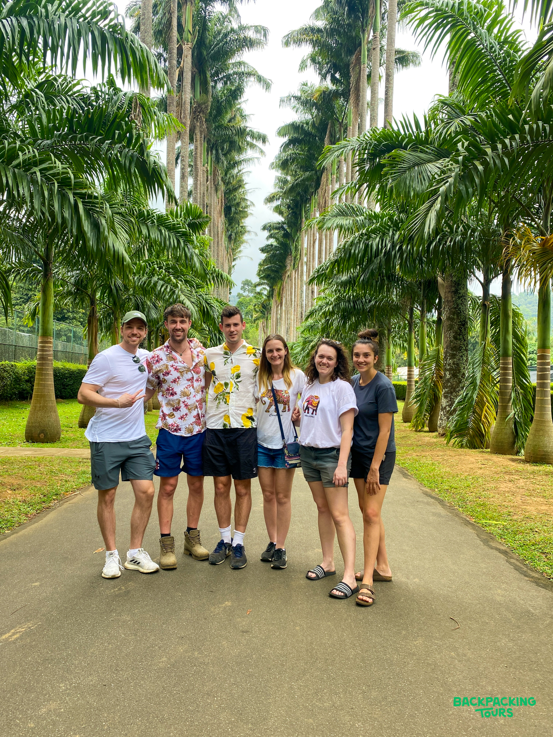 Happy travelers pose in an avenue of towering palm trees in Kandy, Sri Lanka.