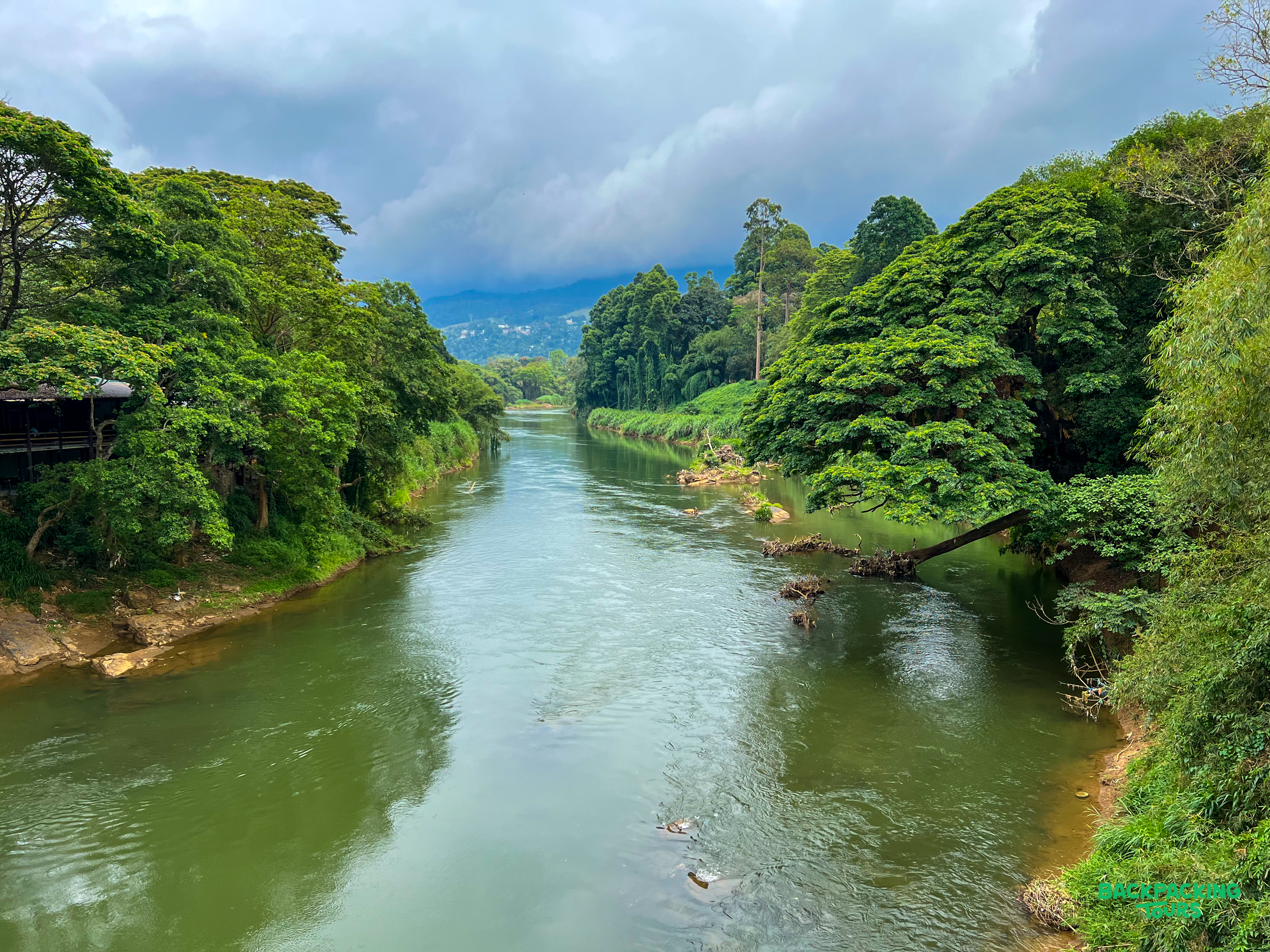 Lush green jungle surrounds a wide river flowing through the scenic landscape near Kandy.
