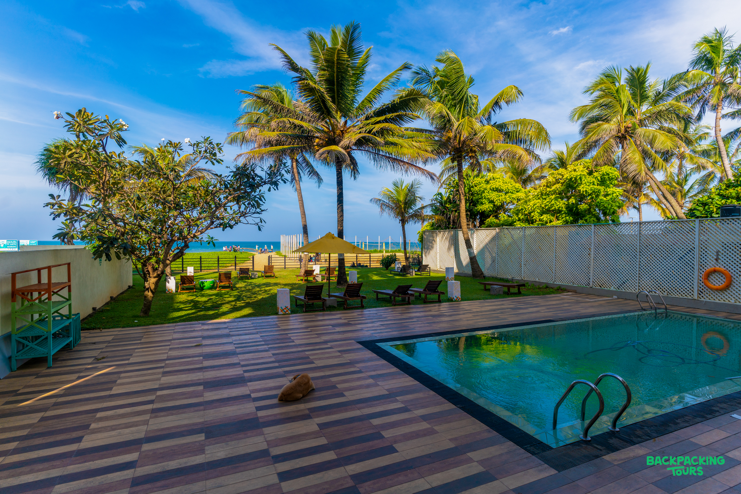Relax by the inviting swimming pool and palm-fringed garden with ocean views in Sri Lanka.