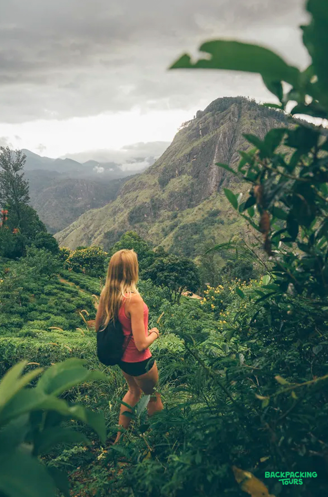Woman trekking through lush tea plantations, admiring the majestic mountain views in Ella, Sri Lanka.