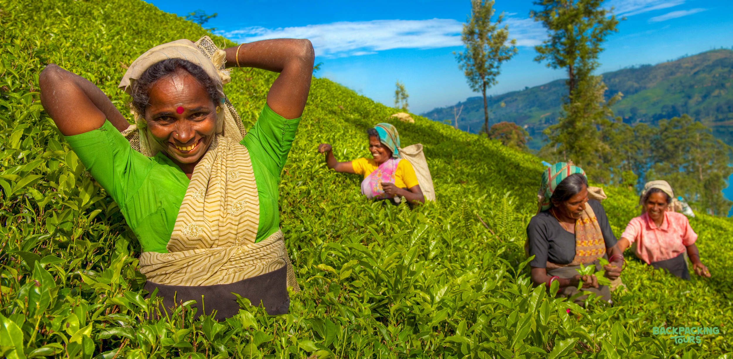 Smiling tea pickers work on a vibrant green plantation in Nuwara Eliya, Sri Lanka, under a blue sky.