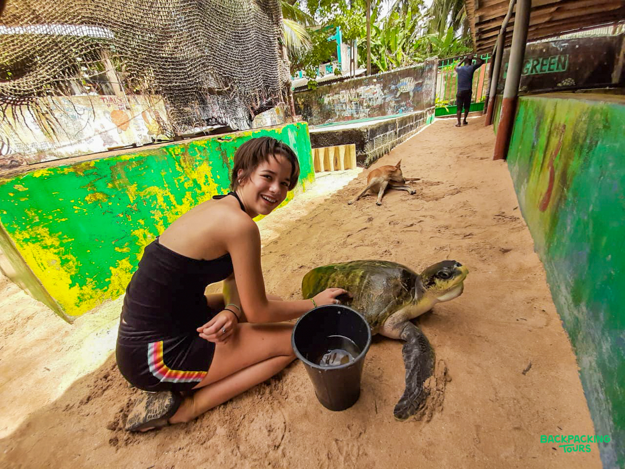 A young woman smiles while gently cleaning a sea turtle at a conservation center in Sri Lanka.