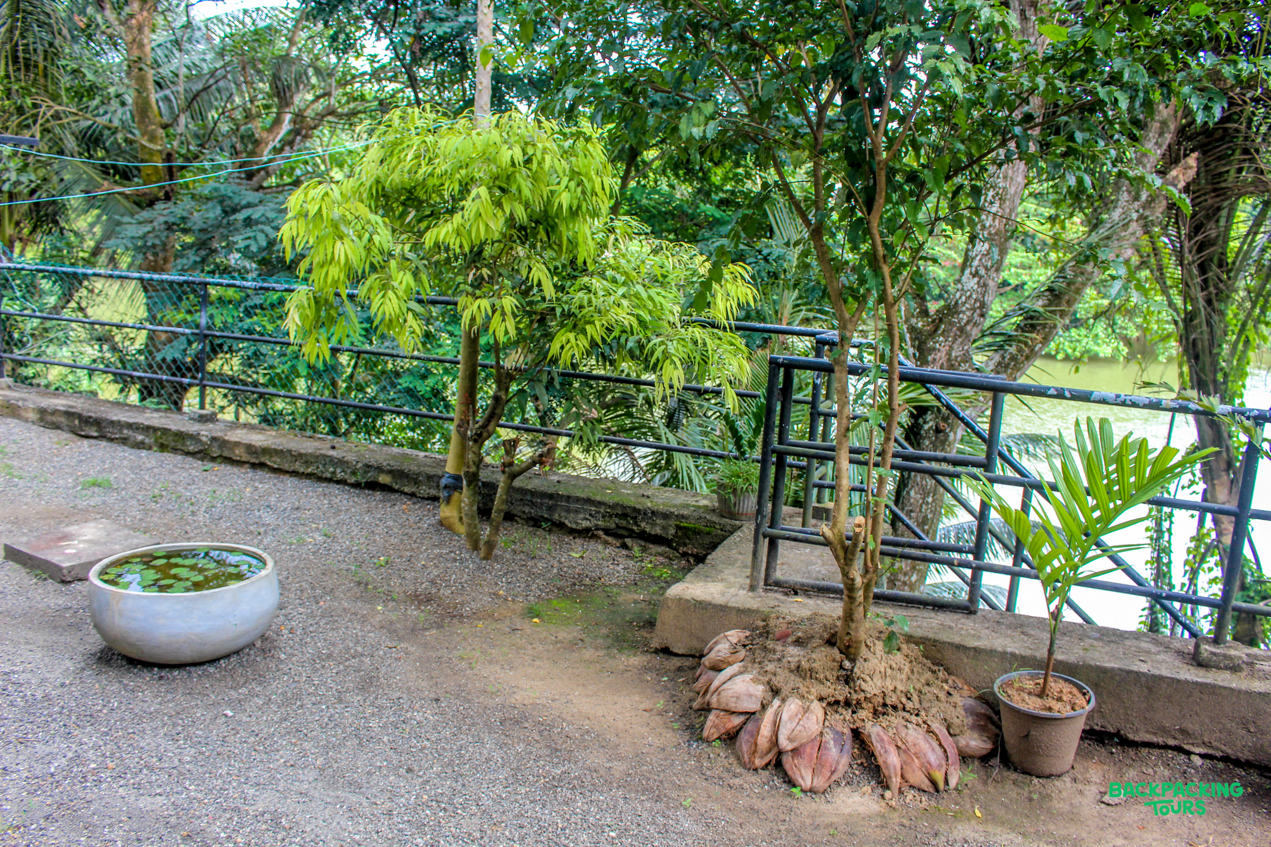 Lush tropical garden path overlooking a serene river, with small trees and a water feature.