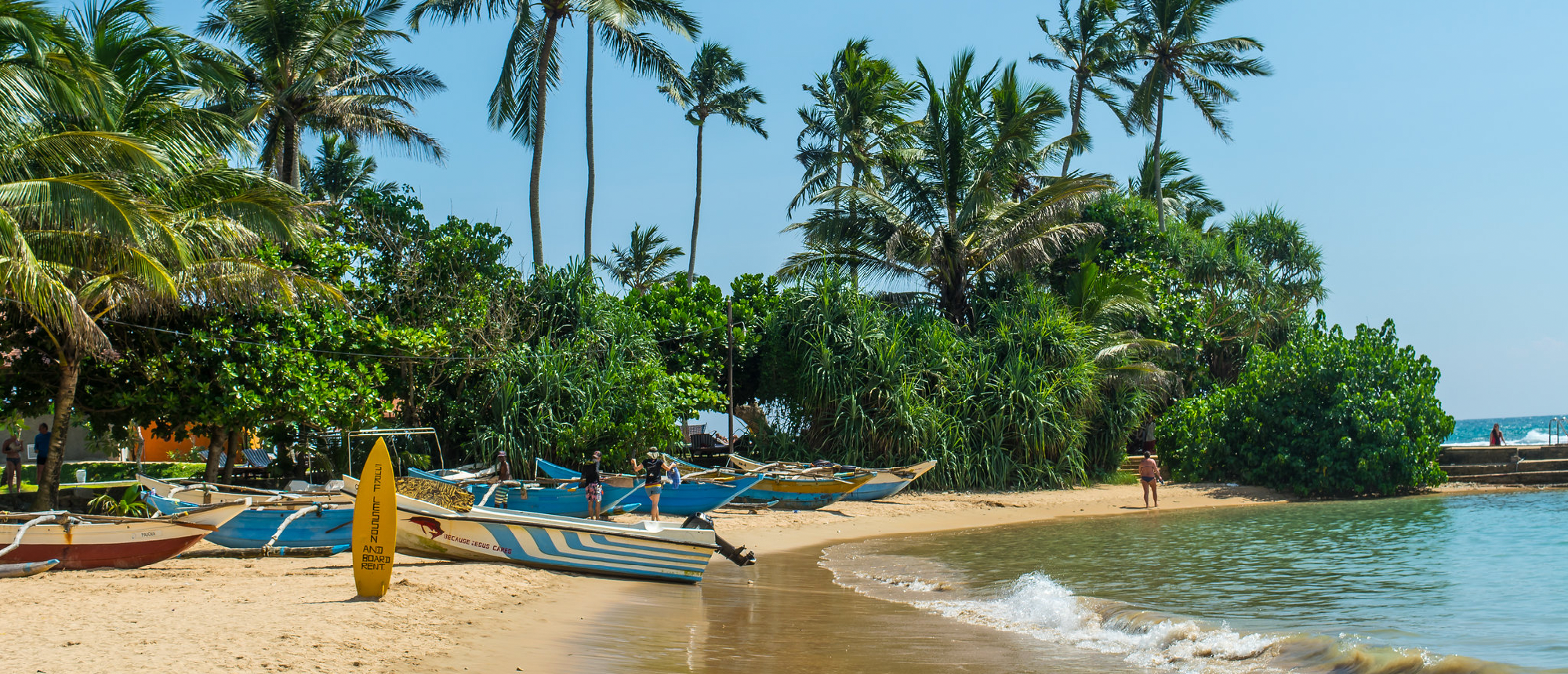 Traditional fishing boats and a surfboard on a sunny beach with palm trees in Mirissa, Sri Lanka.