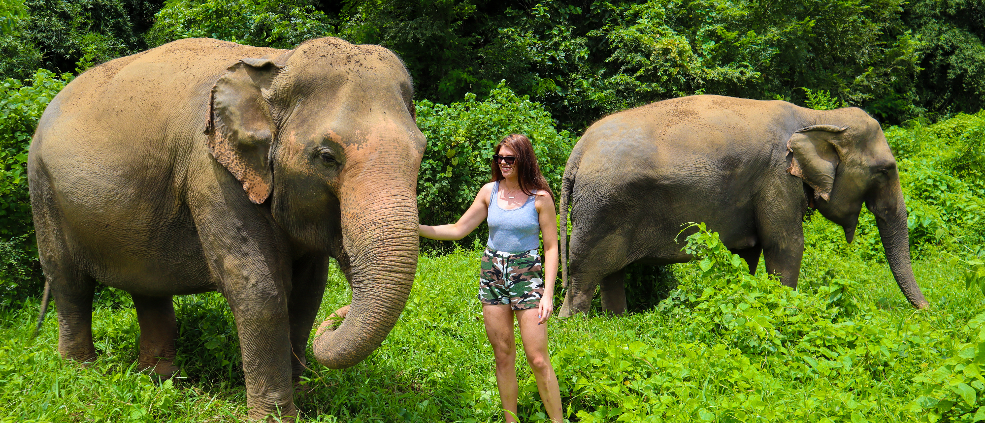 A woman gently touches an elephant in a lush green forest in Thailand, another elephant nearby.
