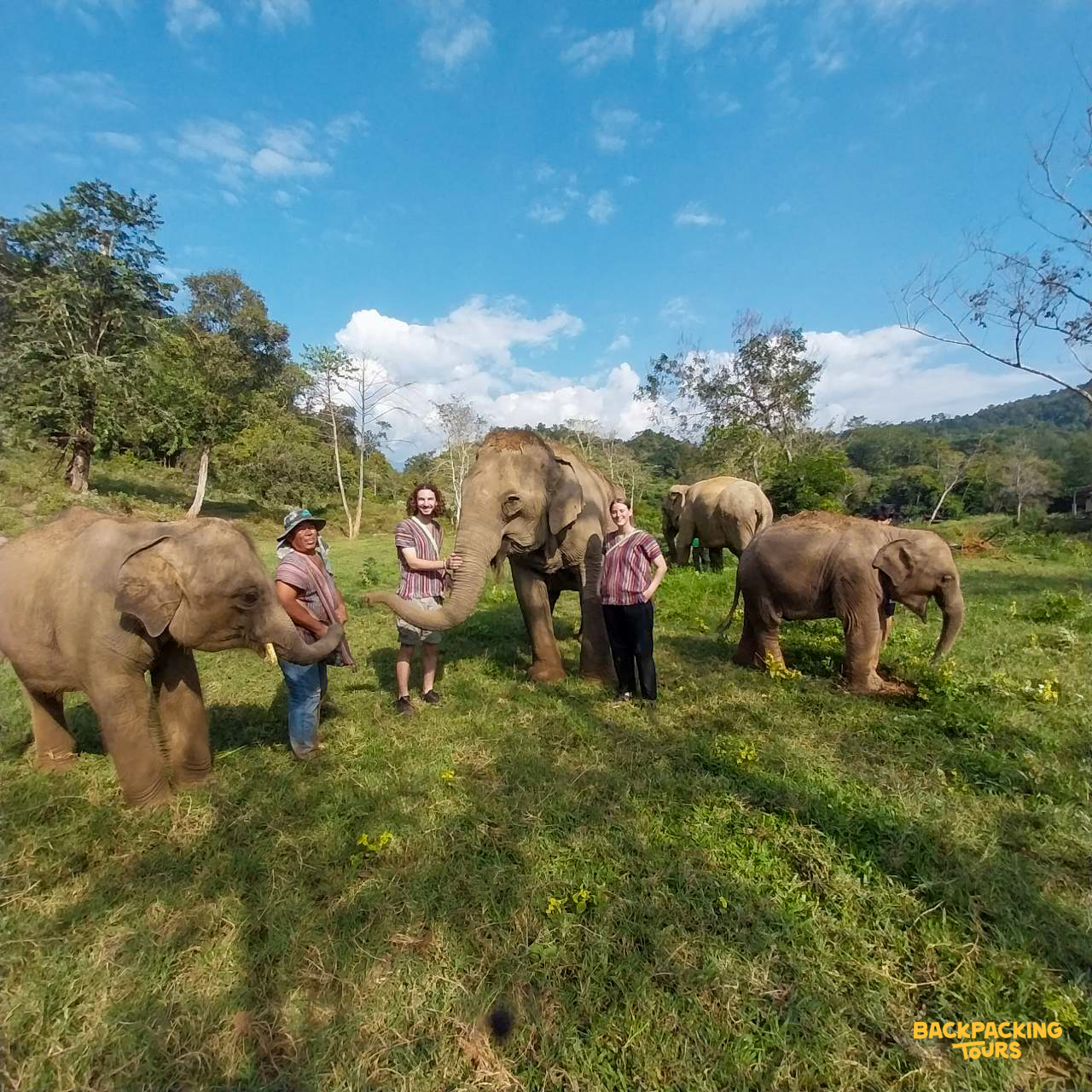 Three volunteers happily interact with several elephants in a beautiful green sanctuary in Thailand.
