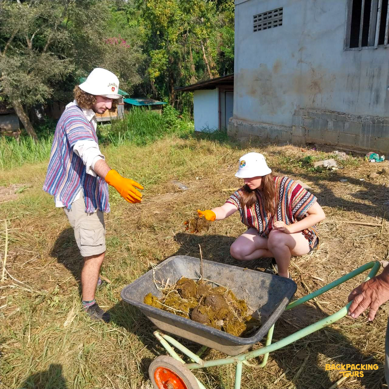 Two volunteers wearing hats and gloves collecting elephant dung into a wheelbarrow in Thailand.