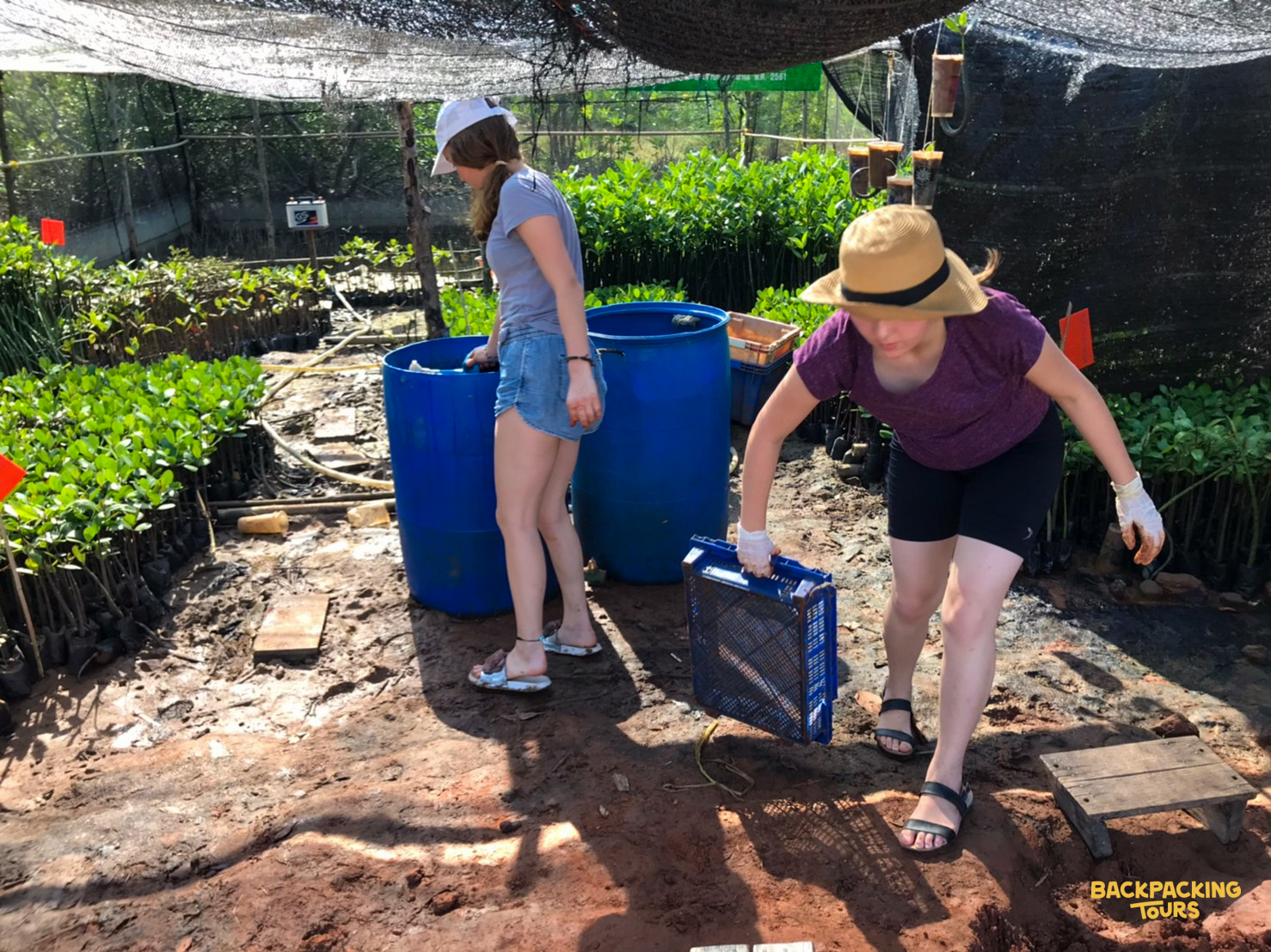 Volunteers tending to young plants in a shaded nursery during environmental conservation work in Thailand.
