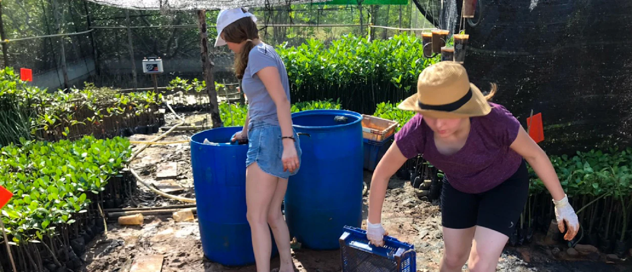 Two women volunteer at a mangrove nursery in Pranburi, Thailand, tending to young plants.