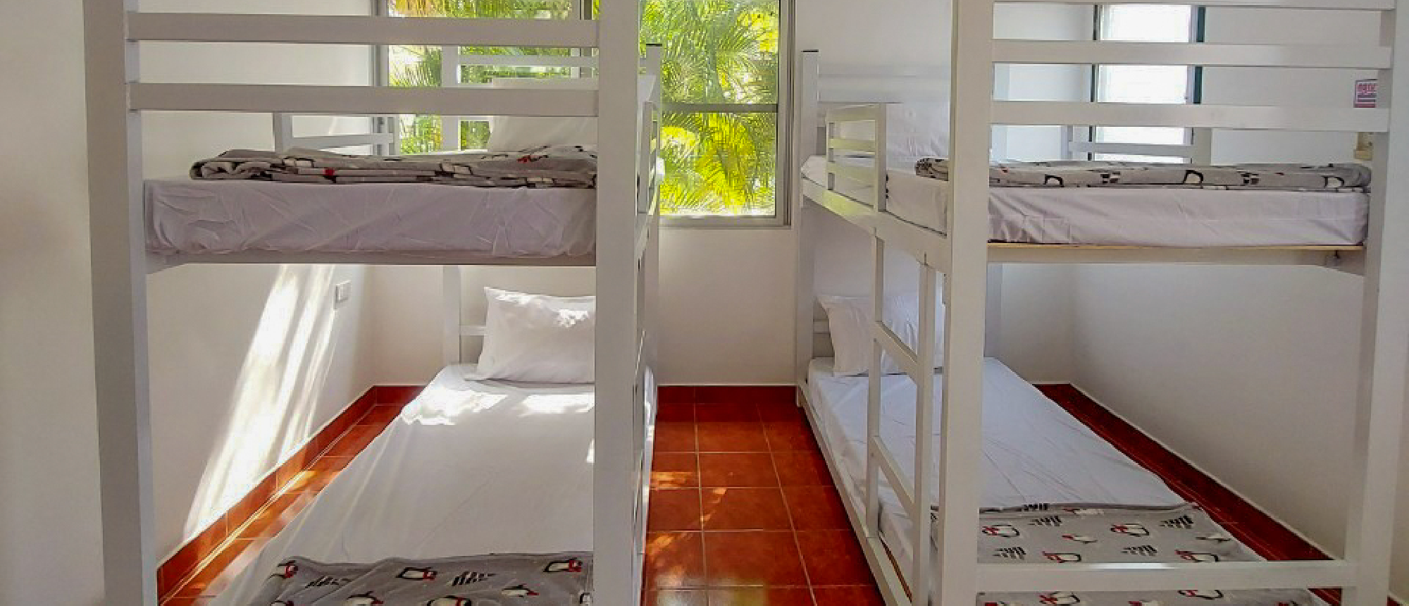A clean, bright dorm room with white bunk beds and red-tiled floor, sunlight streaming in.