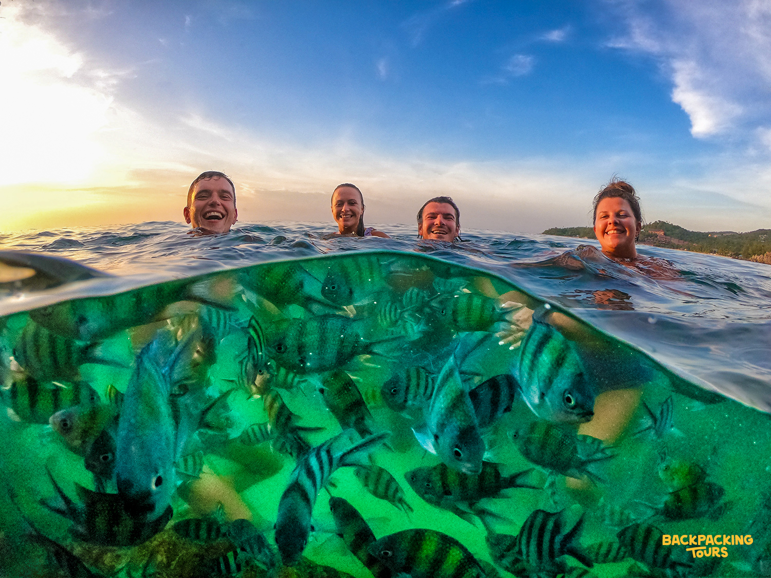 Four happy travelers swimming with many striped fish in clear tropical waters off Koh Phangan.