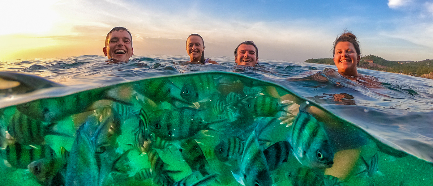 Four happy people swim in clear water with many striped fish at Koh Phangan.