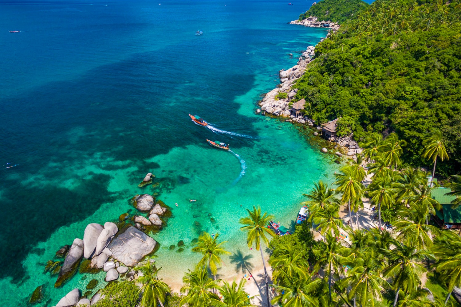 Two longtail boats glide through clear turquoise water near a palm-fringed beach in Koh Tao, Thailand.