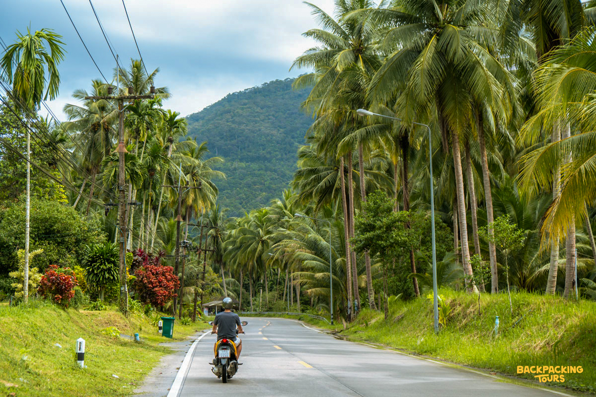 A person explores the lush tropical landscape of Koh Phangan by scooter, surrounded by palm trees and mountains.
