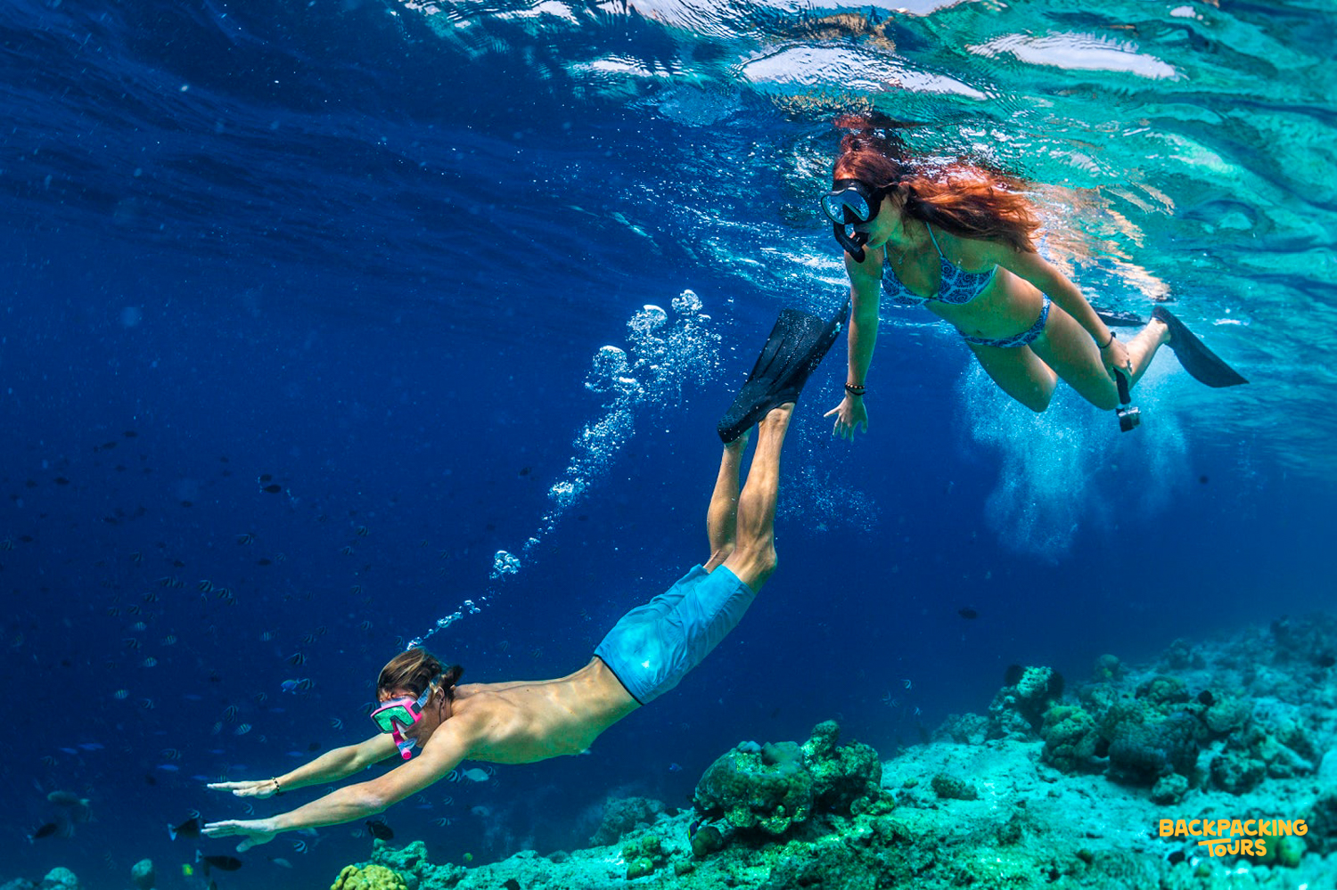 Two people snorkel and freedive in the clear blue waters of Koh Phangan.