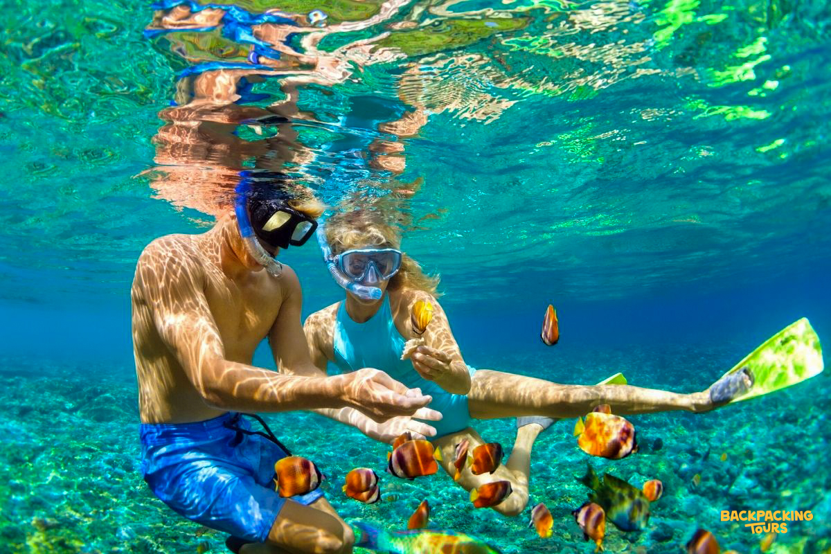 A couple snorkeling among colorful fish in the crystal-clear waters off Koh Tao, Thailand.